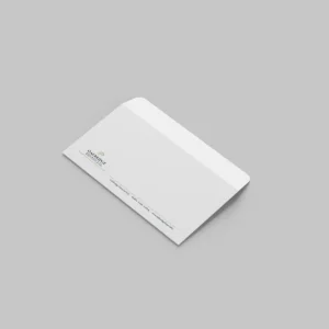Custom printed DL envelopes for business correspondence