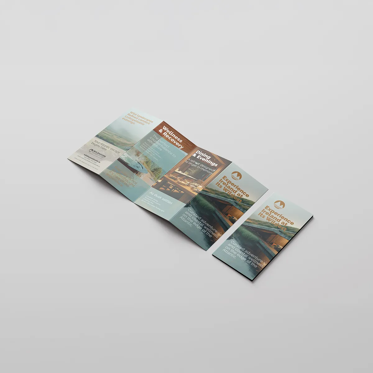 Folded DL leaflet printed for promotional marketing