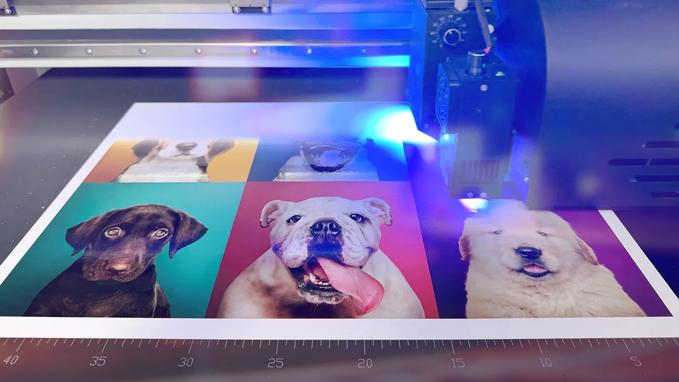UV printer producing a mounted poster print featuring vibrant puppy imagery